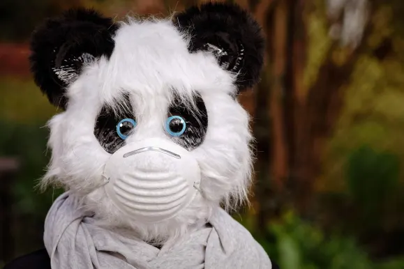 هي سبين كازينو الدعم